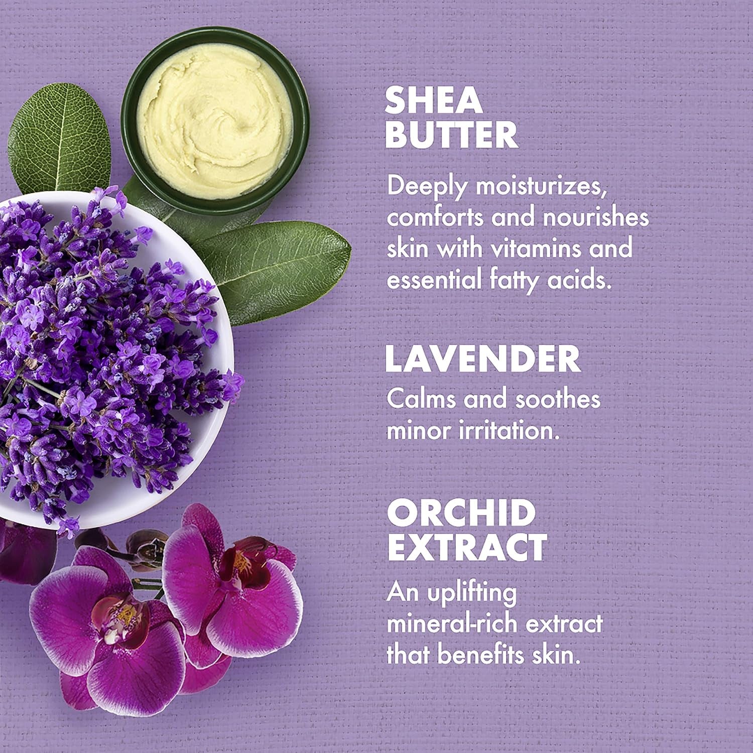 Sheamoisture Bath, Body and Massage Oil Lavender Wild Orchid Calming Moisturizer for Sensitive Skin 8 Oz | for Sensitive Skin - Calms and Moisturizes with Lavender and Wild Orchid Oils.